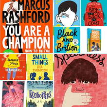 Load image into Gallery viewer, Beauty of Diversity Bundle Children's Book Bundle Happier Every Chapter 10 KS2 (8-11yrs)