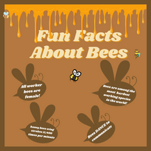 Load image into Gallery viewer, Let Me Bee Me eBook Happier Every Chapter