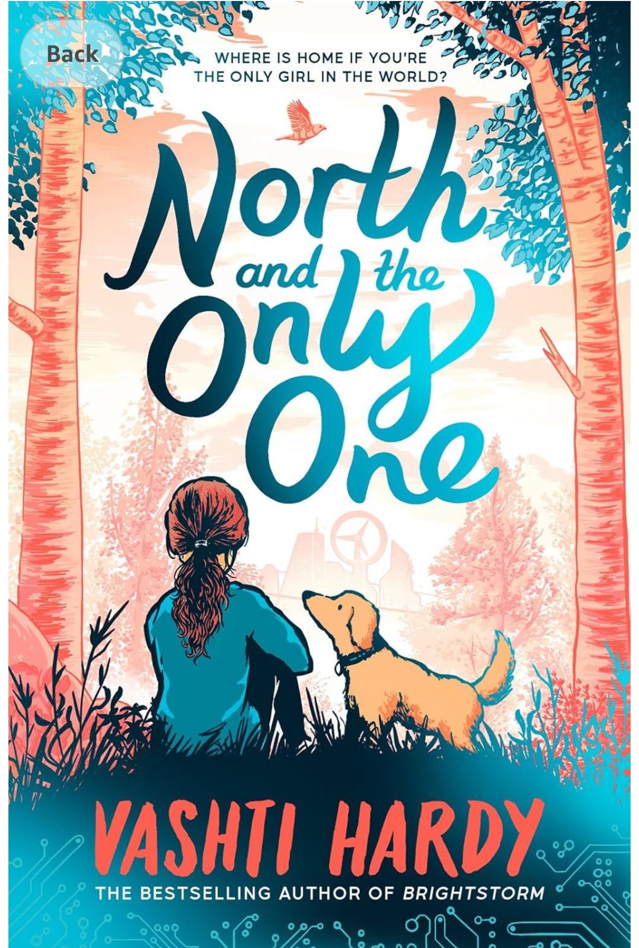 North and the Only One