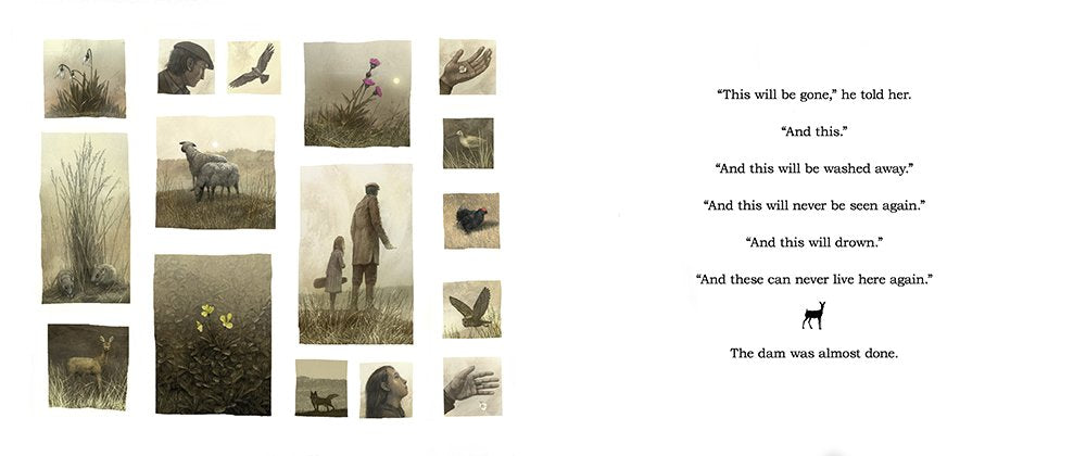 The Dam Hardcover €“ Picture Book