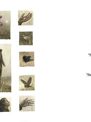 The Dam Hardcover €“ Picture Book