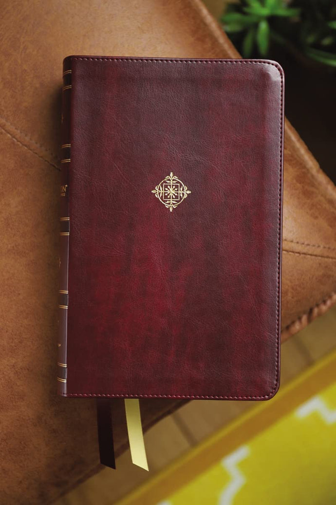 Niv, Thompson Chain-Reference Bible, Handy Size, Leathersoft, Burgundy, Red Letter, Comfort Print: New International Version, Leathersoft, Burgundy, Thompson Chain-reference Bible Imitation Leather Adult Non-Fiction Happier Every Chapter