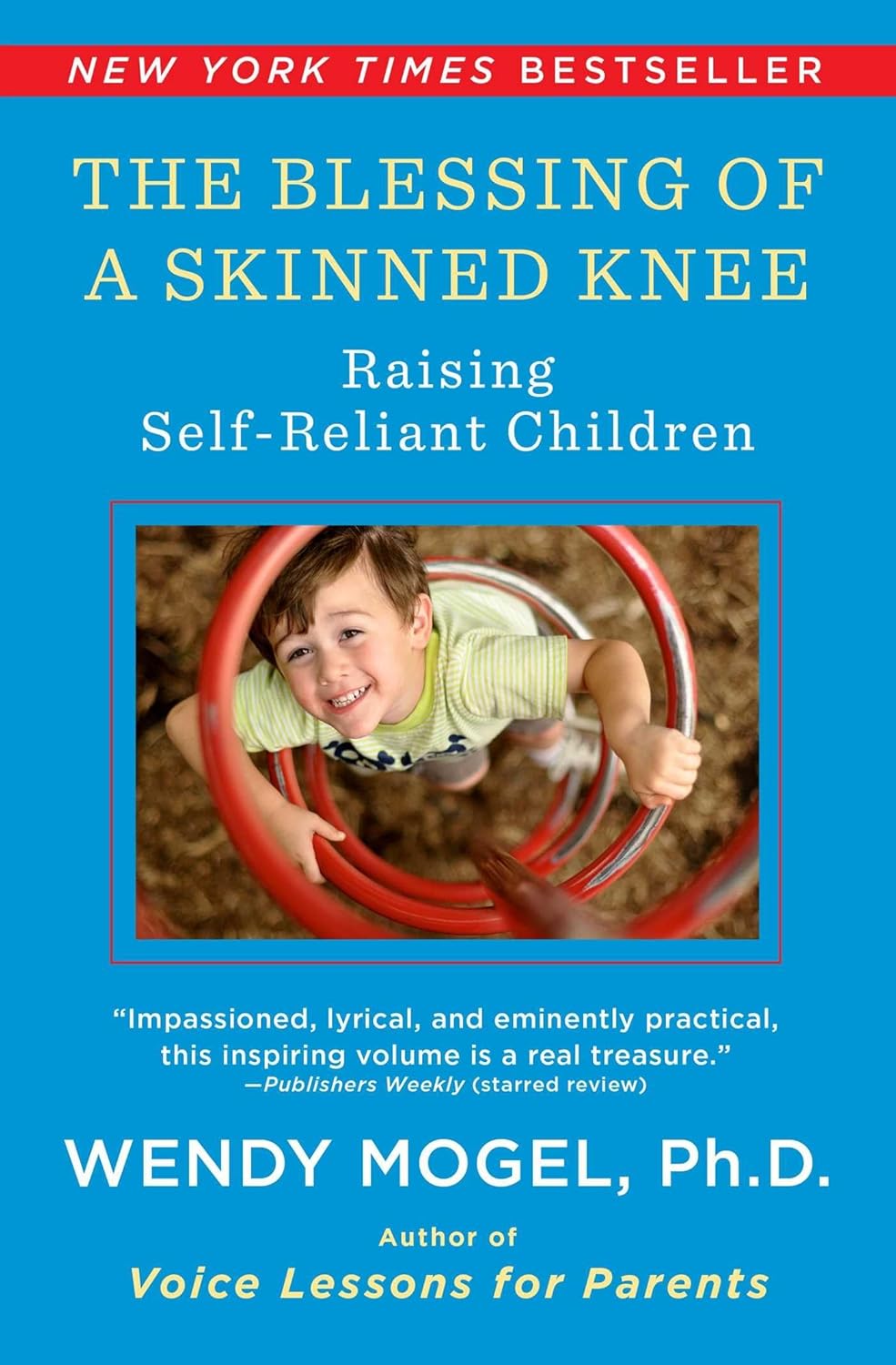 The Blessing of a Skinned Knee: Using Jewish Teachings to Raise Self-Reliant Children Paperback