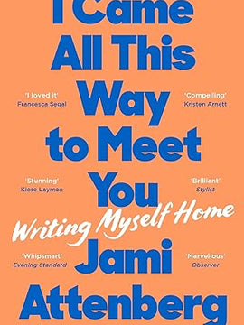 Came All This Way to Meet You: Writing Myself Home Paperback
