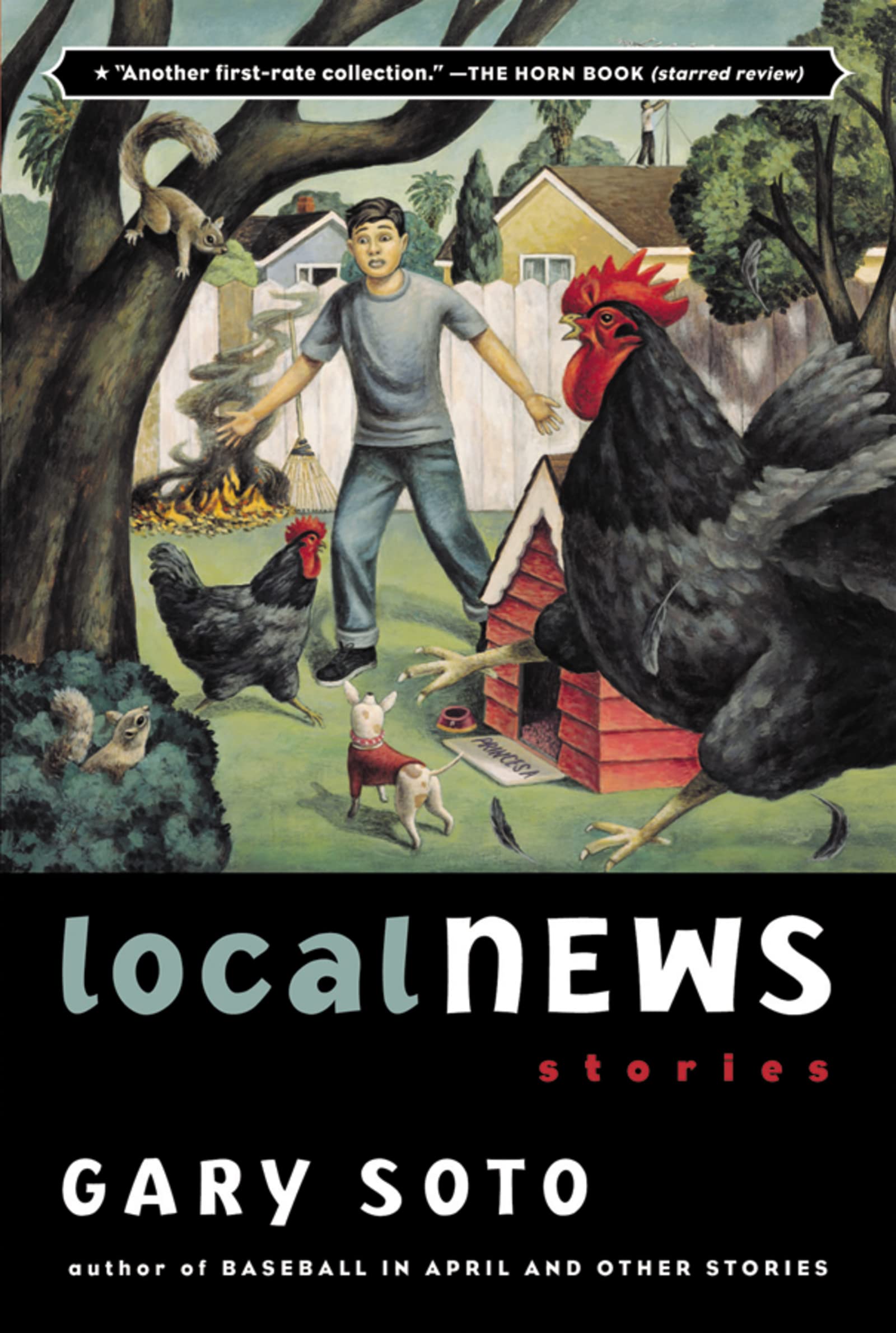 Local News Stories(Paperback)