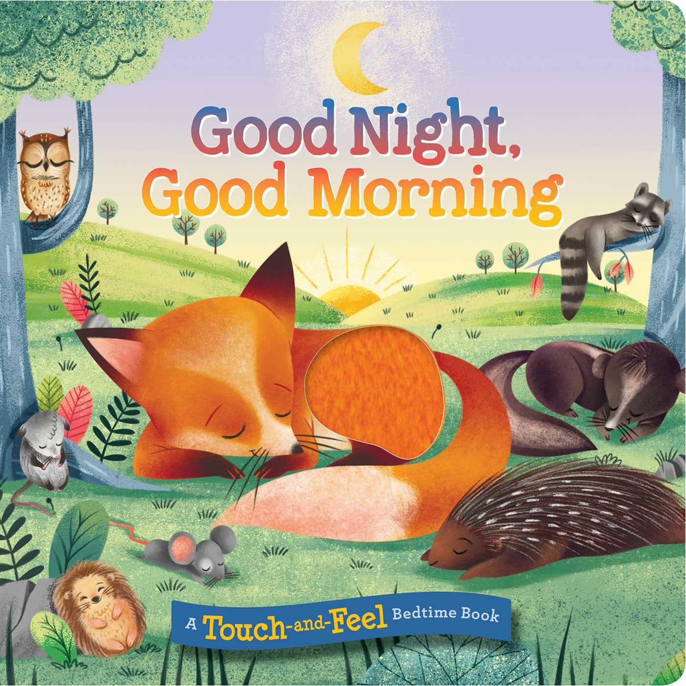 Good Night, Good Morning Board Book – Touch and Feel, January 22, 2019 by Maggie Fischer (Author), Katya Longhi (Illustrator)