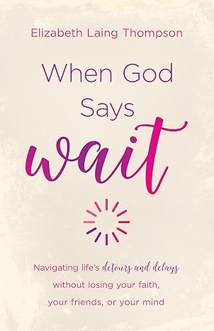 When God Says Wait: Navigating Life's Detours and Delays Without Losing Your Faith, Your Friends, or Your Mind Paperback –  Ndah Mbawa @ Happier Every Chapter   