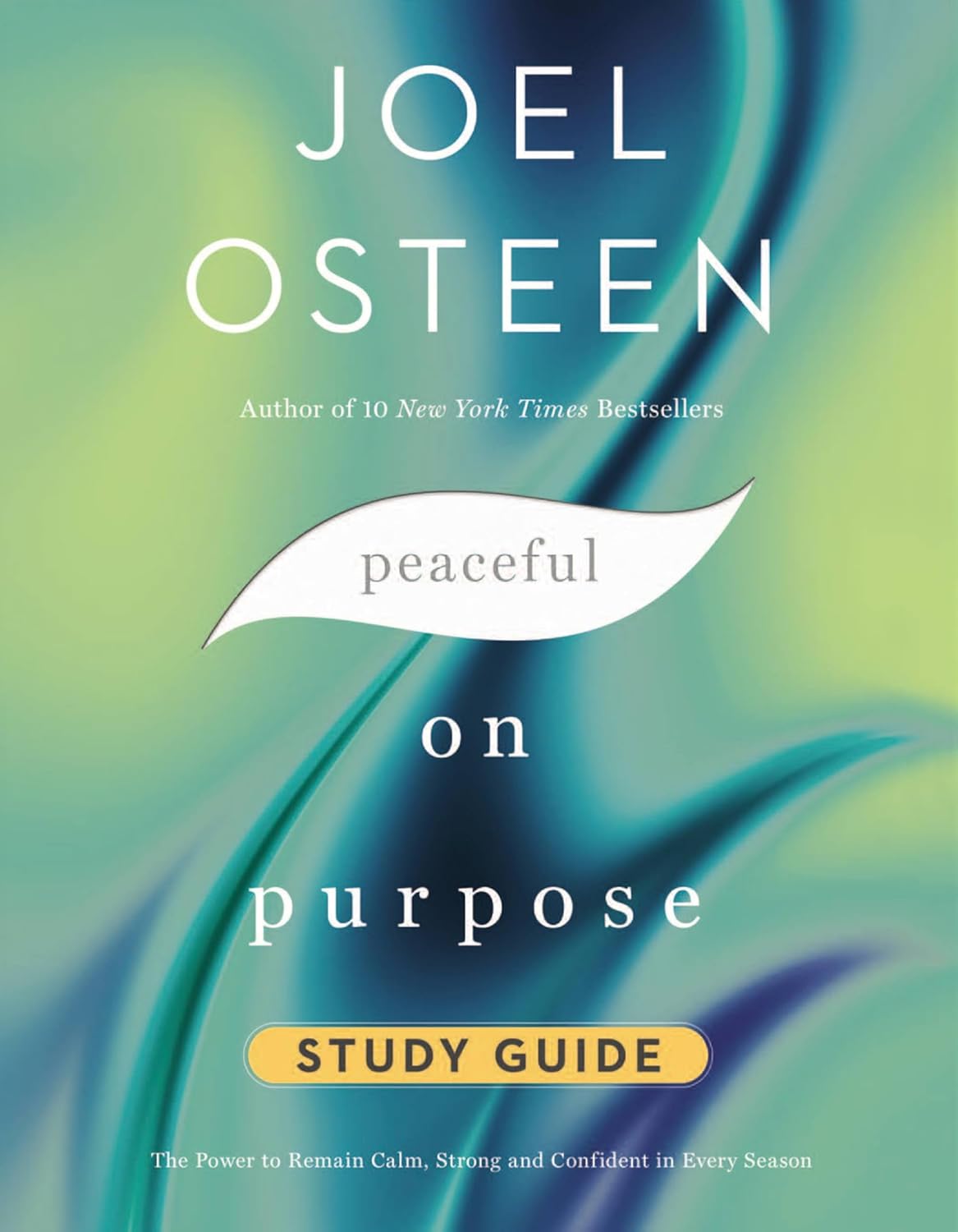 Peaceful on Purpose Study Guide: Secrets of a StressFree and Productive Life Paperback