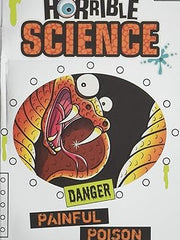 Painful Poison: 1 (Horrible Science) Paperback