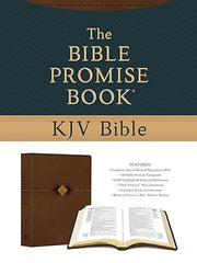 The Bible Promise Book KJV Bible [hickory Diamond] Imitation Leather