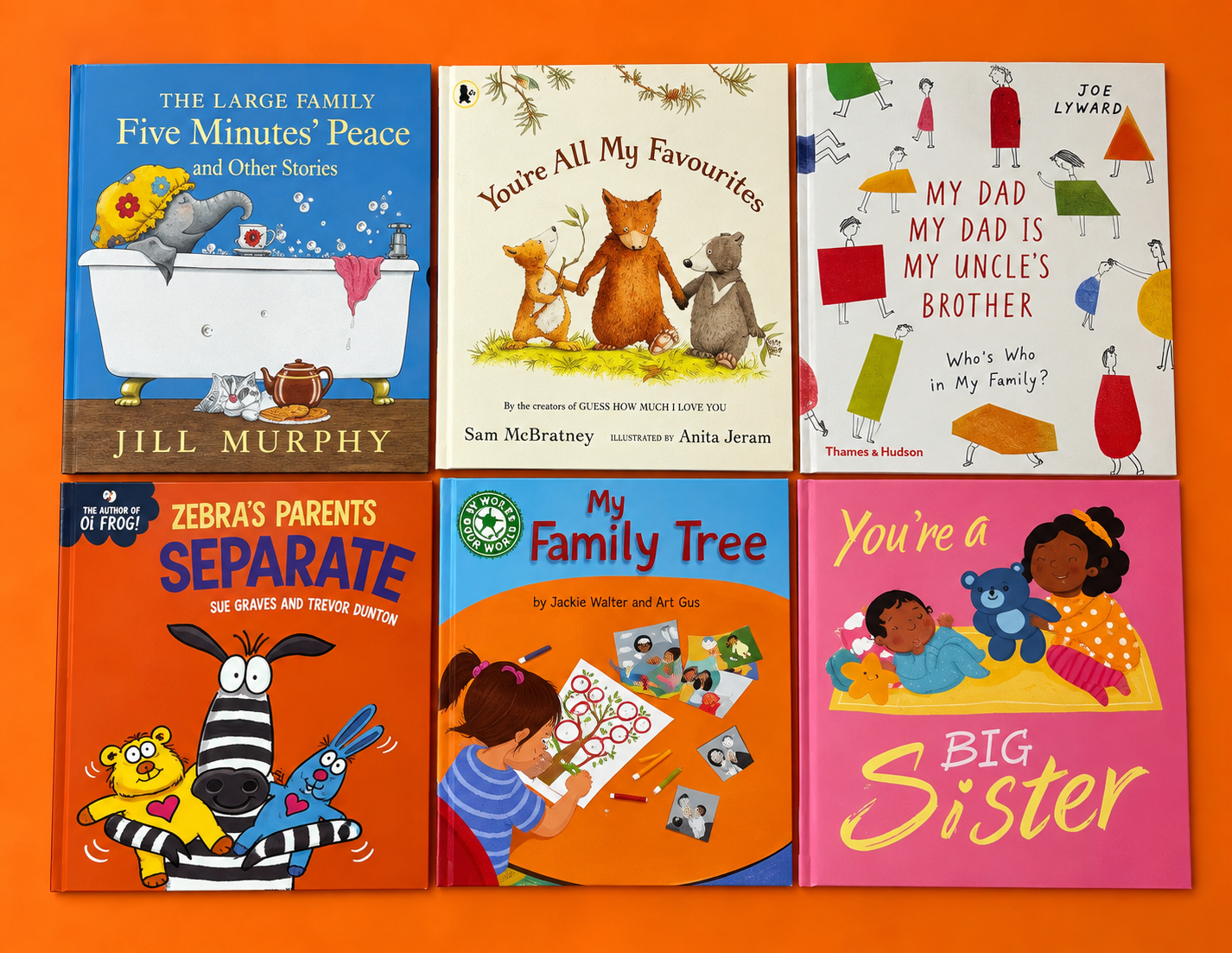 Family Diversity | Family Diversity Book Bundle | Inclusive Books About Families, Fostering and Adoption, EYFS to KS4 |