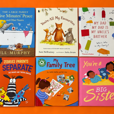 Family Diversity | Family Diversity Book Bundle | Inclusive Books About Families, Fostering and Adoption, EYFS to KS4 |