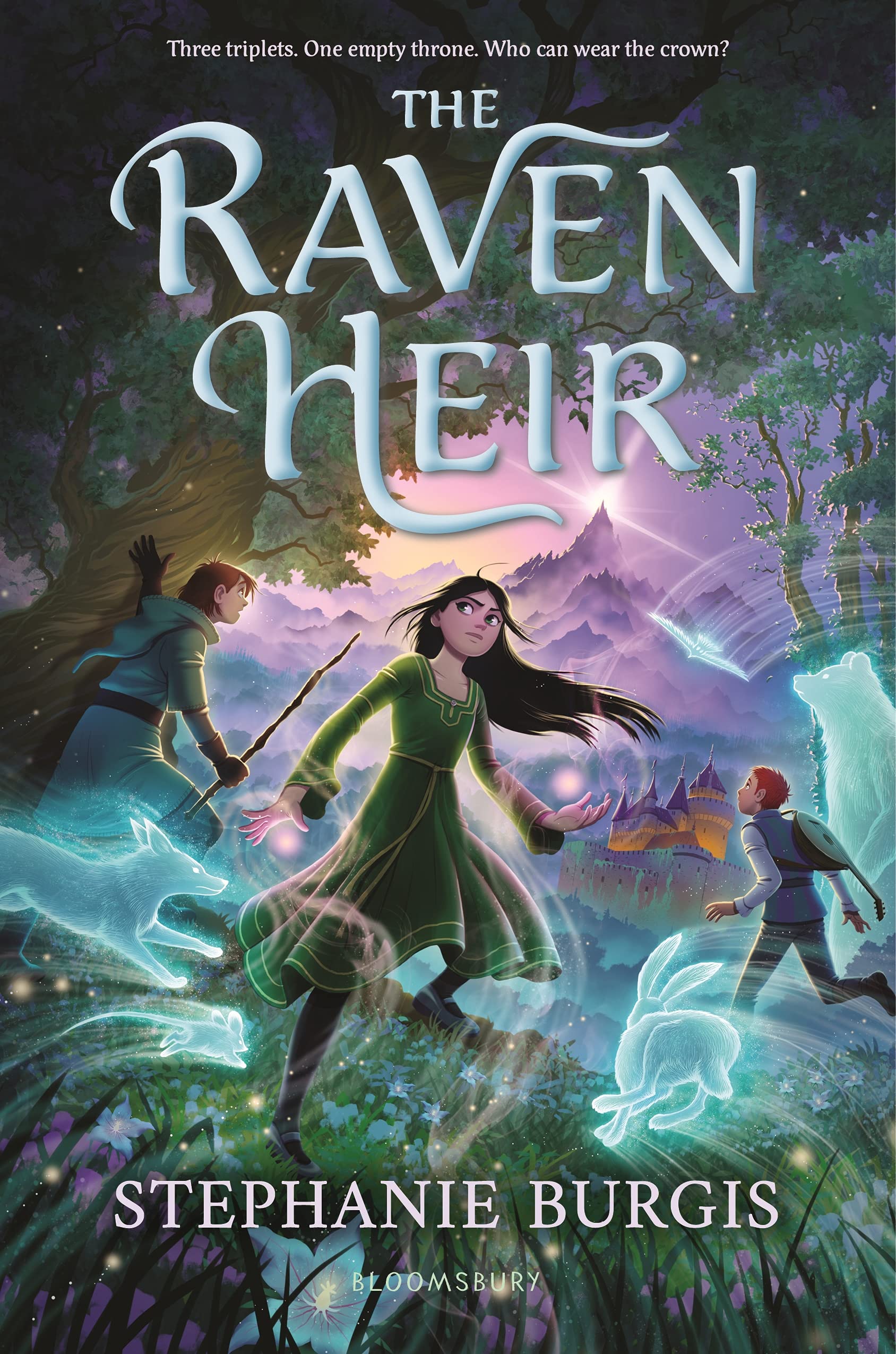 The Raven Heir (Raven Heir, 1) (Hardcover)