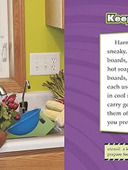 Food Safety (Staying Safe) Hardcover