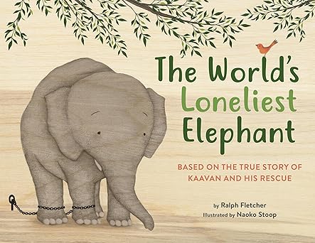 The World's Loneliest Elephant: Based on the True Story of Kaavan and His Rescue Hardcover Children's Books Happier Every chapter