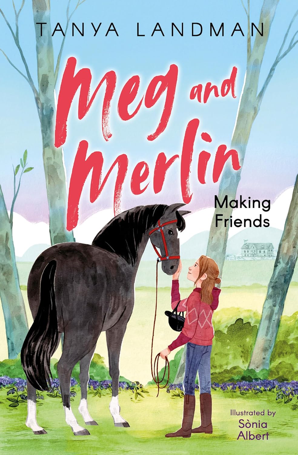 Meg and Merlin: (Dyslexia-friendly): Book 1