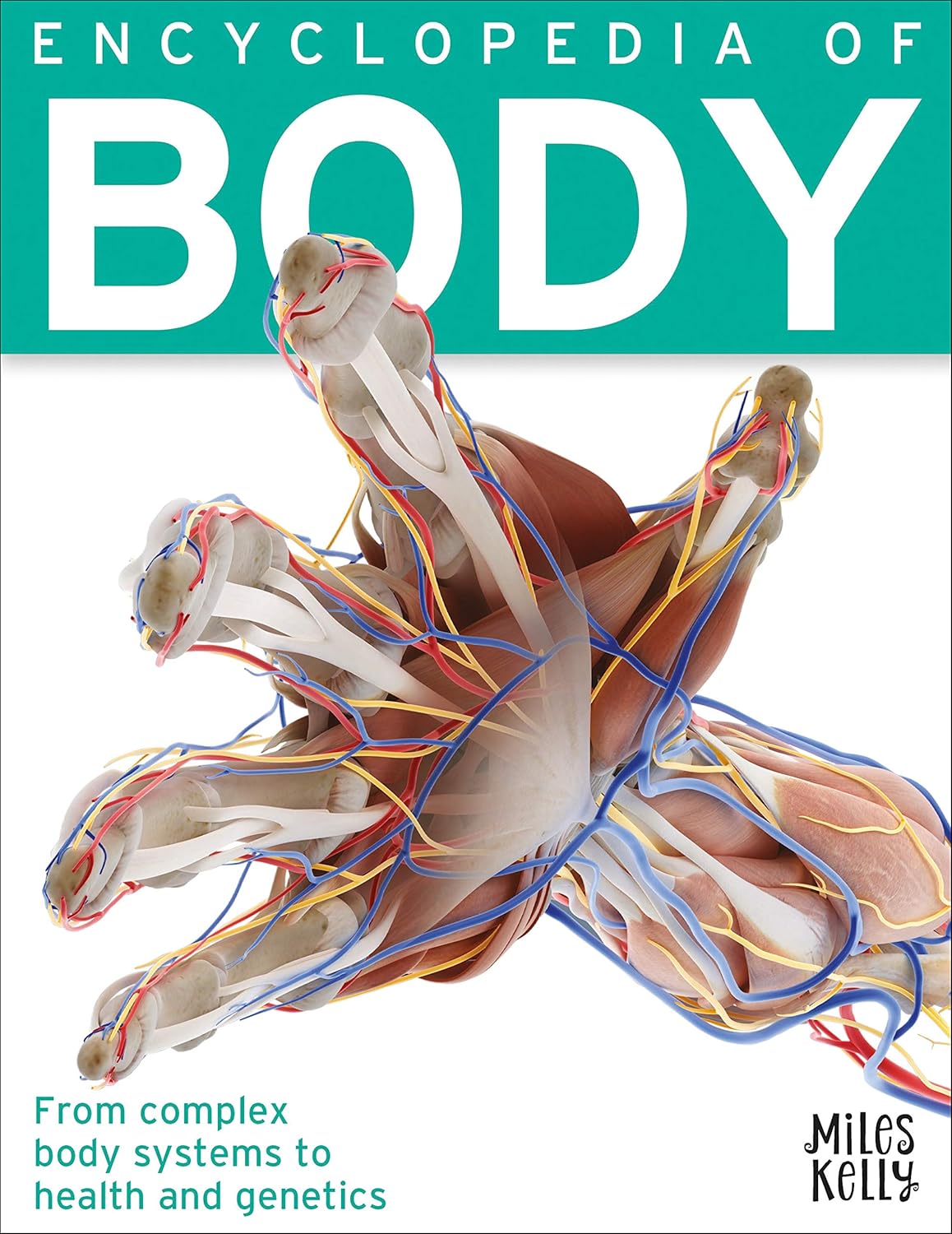 Encyclopaedia of Body Paperback