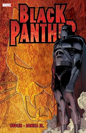 Black Panther: Who is the Black Panther Paperback