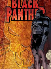 Black Panther: Who is the Black Panther Paperback