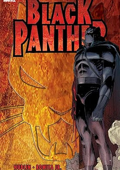 Black Panther: Who is the Black Panther Paperback