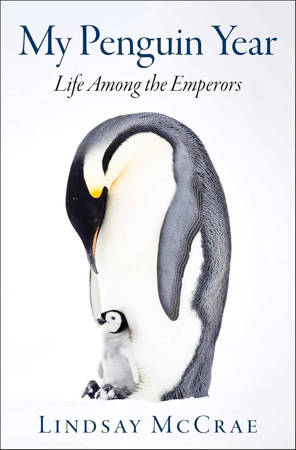 My Penguin Year: Life Among the Emperors Hardcover