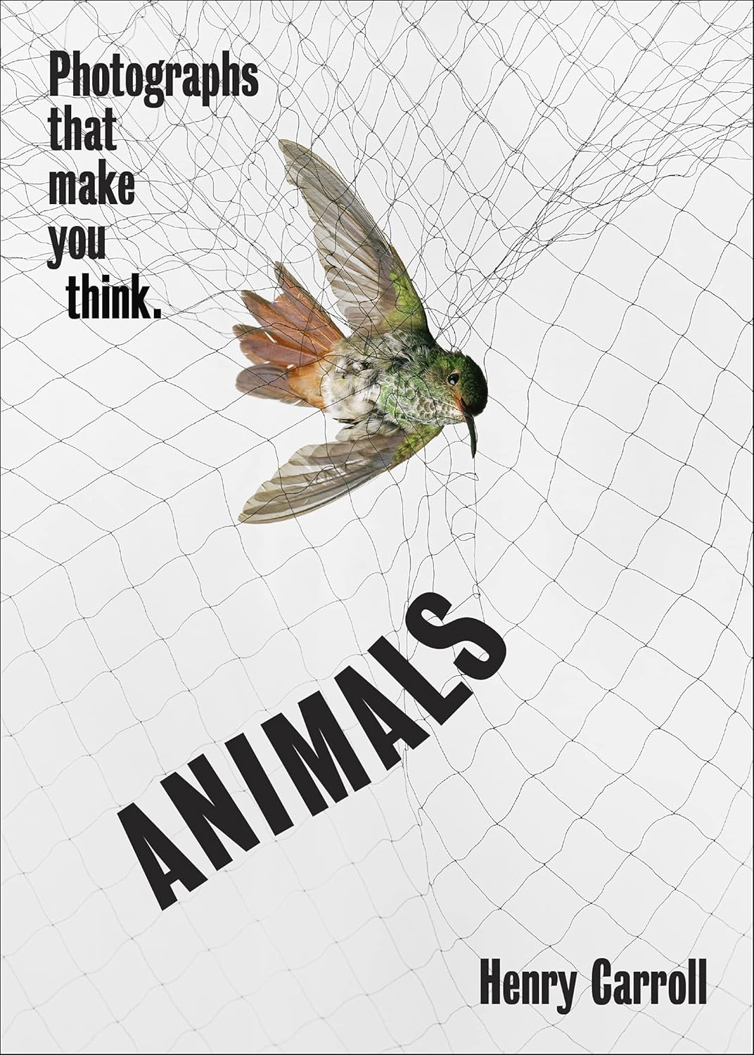 ANIMALS: Photographs That Make You Think Paperback