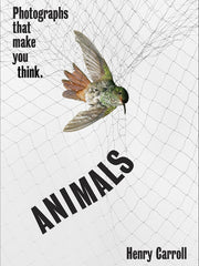 ANIMALS: Photographs That Make You Think Paperback
