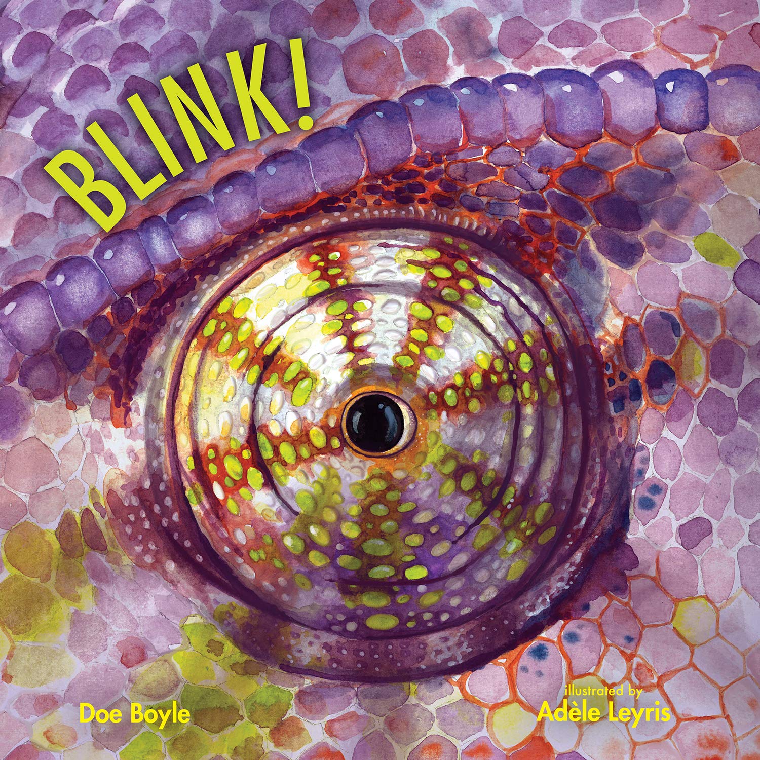 Blink! (Imagine This!) Hardcover €“ Picture Book, 1 September 2020 by Doe Boyle (Author), Adèle Leyris (Illustrator)