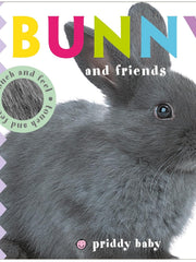 Bunny and Friends Touch and Feel (Baby Touch and Feel) Board book €“ Touch & Feel, August 1, 2017 by Roger Priddy (Author)