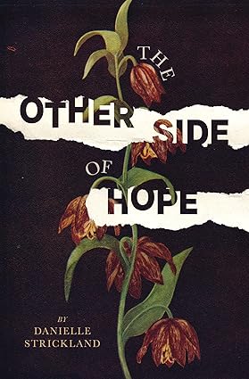 The Other Side of Hope: Flipping the Script on Cynicism and Despair and Rediscovering our Humanity Paperback