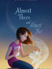 Almost There and Almost Not (Hardcover)