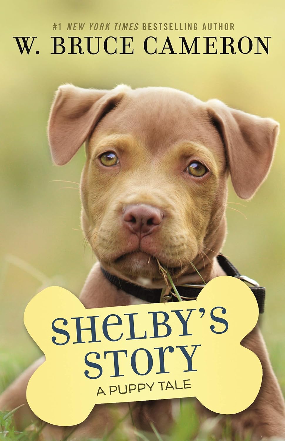 Shelby's Story: A Puppy Tale Hardcover