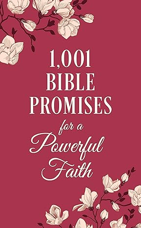 1001 Bible Promises for a Powerful Faith Paperback Adult Non-Fiction Happier Every Chapter   