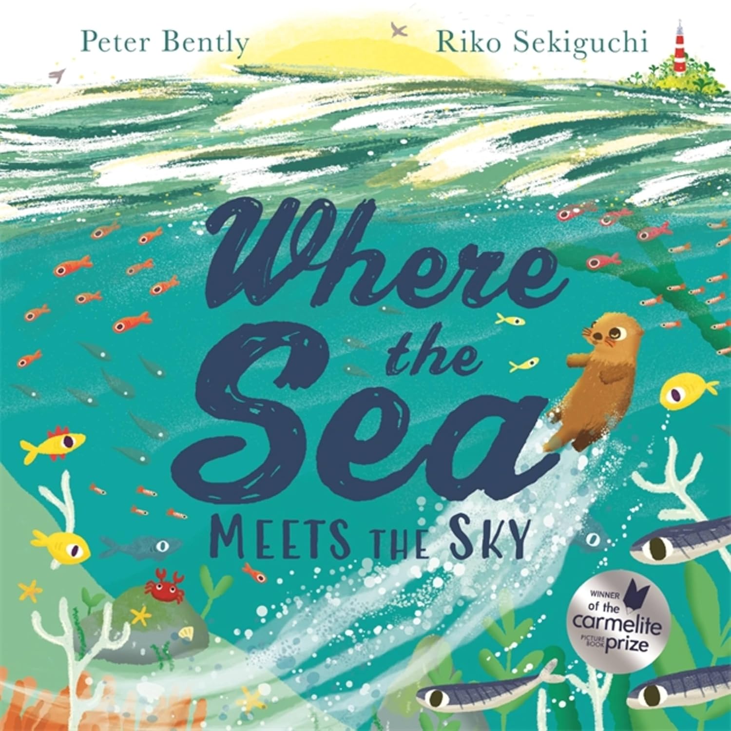 Where the Sea Meets the Sky Paperback €“ Picture Book