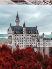 Neuschwanstein Castle Germany 1000 Piece Jigsaw Puzzle (Mindbogglers) Hardcove