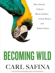 Becoming Wild: How Animal Cultures Raise Families, Create Beauty, and Achieve Peace Hardcover