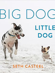 Big Dog, Little Dog Hardcover