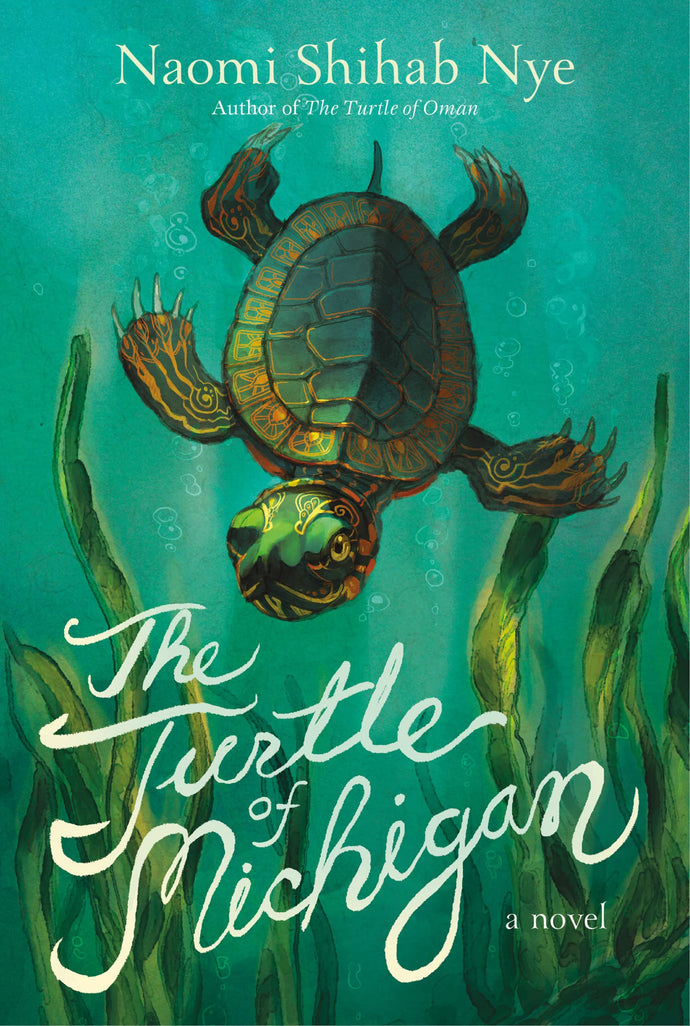The Turtle of Michigan A Novel(Hardcover) Children's Books Happier Every Chapter   