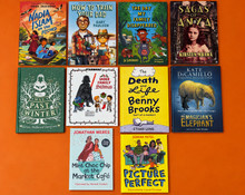 Load image into Gallery viewer, Family Diversity | Family Diversity Book Bundle | Inclusive Books About Families, Fostering and Adoption, EYFS to KS4 | Children's Book Bundle Happier Every Chapter
