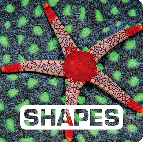 Shapes (Picture This) Board book