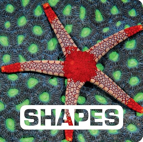 Shapes (Picture This) Board book Children's Books Happier Every Chapter   