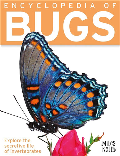 Encyclopedia of Bugs Tweens Nonfiction Happier Every Chapter   