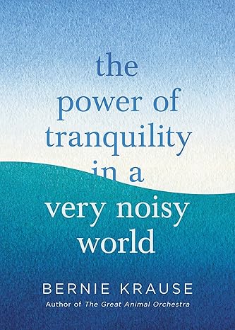 The Power of Tranquility in a Very Noisy World Hardcover