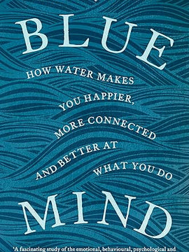 Blue Mind: How Water Makes You Happier, More Connected and Better at What You Do