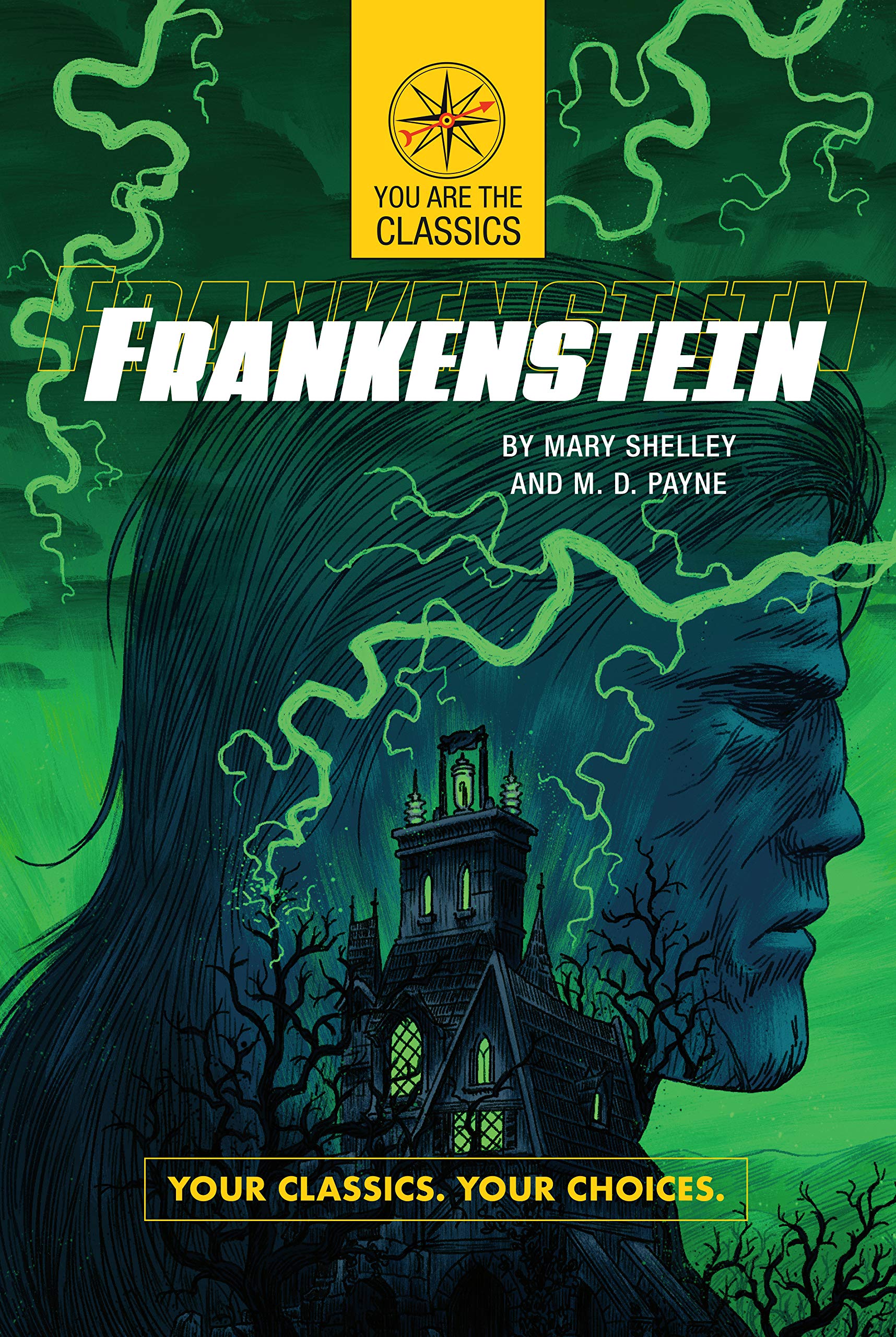 Frankenstein Your Classics. Your Choices. (You Are the Classics)(Paperback)
