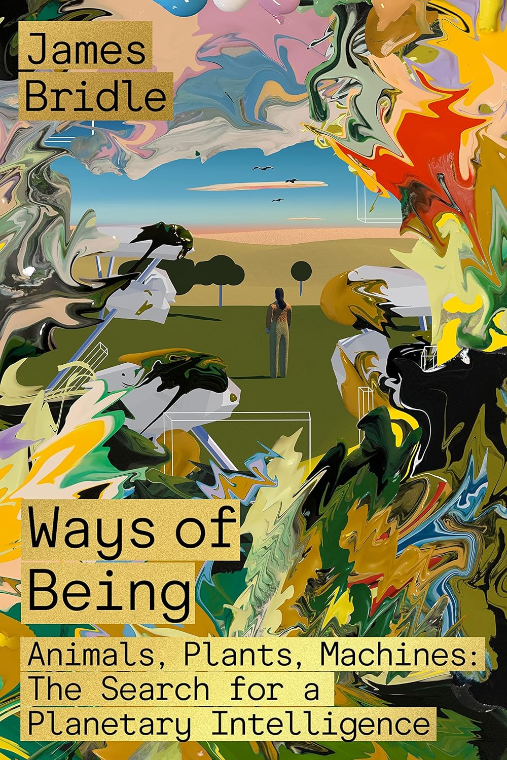 Ways of Being: Animals, Plants, Machines: The Search for a Planetary Intelligence Hardcover