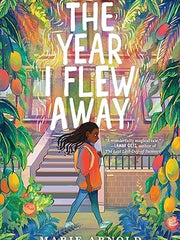 The Year I Flew Away Paperback