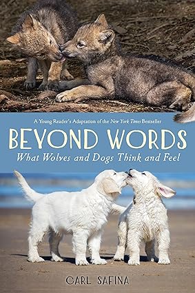 Beyond Words: What Wolves and Dogs Think and Feel: What Wolves and Dogs Think and Feel: Young Readers Adaptation Hardcover