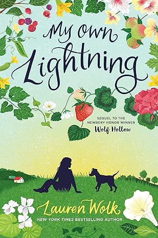 My Own Lightning Hardcover