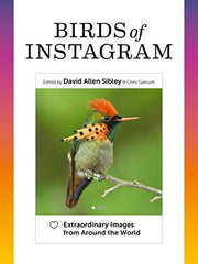Birds of Instagram: Extraordinary Images from Around the World - Hardcover